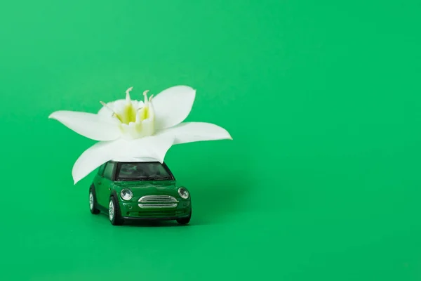 Orenburg, Russie, février 2020 : une voiture miniature livre une fleur blanche sur fond blu. concept de livraison de fleurs. Journée internationale de la femme 8 mars, Saint-Valentin . — Photo