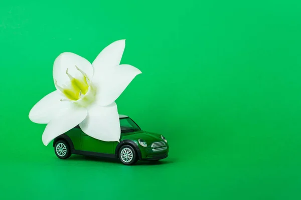Orenburg, Russie, février 2020 : une voiture miniature livre une fleur blanche sur fond blu. concept de livraison de fleurs. Journée internationale de la femme 8 mars, Saint-Valentin . — Photo