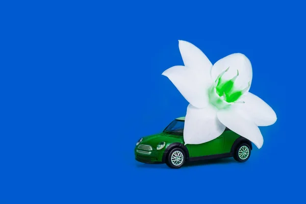 Orenburg, Russie, février 2020 : une voiture miniature livre une fleur blanche sur fond blu. concept de livraison de fleurs. Journée internationale de la femme 8 mars, Saint-Valentin . — Photo