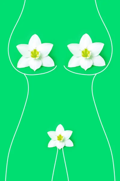 Женская концепция здоровья. зеленый фон, пространство для копирования — стоковое фото