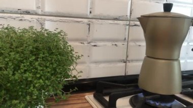 Kahve makinesinde kahve hazırlamak, kızın elleri kahveyi doldurup tabağa koymak, gaz lambası, kahve demlikte bir bitkinin yanında yapılır. 