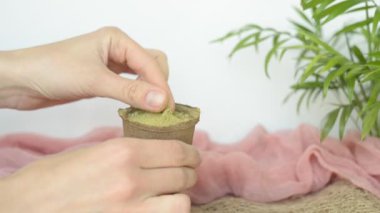 Kuru kına pudrası ve manikürsüz sürtmek için kadın elleri. Doğal malzemeler. Kimya olmadan kaş boyama. Pembe tonlar