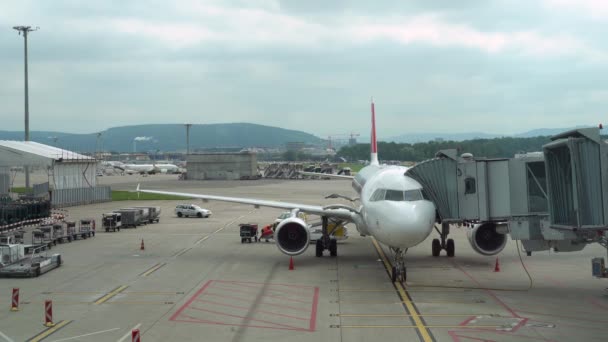 Samolot jest zaparkowany w pobliżu terminalu. Ładowarka kładzie torby, walizki na taśmie załadunkowej — Wideo stockowe