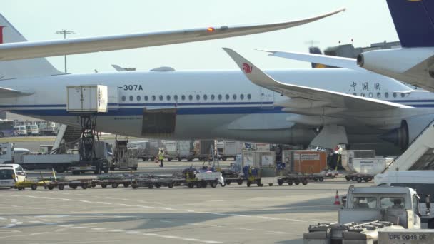 Bagage wordt geladen op de Airbus A350 Personeel bereidt het vliegtuig voor op de vlucht — Stockvideo