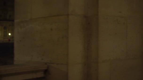 Plaza cerca del Louvre. Fachada del edificio con antiguas columnas y esculturas. 4K — Vídeo de stock