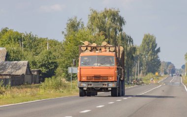 Kargo ile karayolu üzerinde bir orman sürmek ile Kereste kamyon