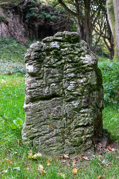 Uralter Stehender Stein Silverdale Lancashire Großbritannien — Stockfoto