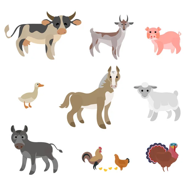 Pets Horse Rooster Donkey Goat Pig Others — Stock Vector