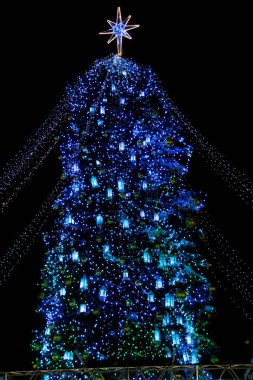 Güzel süslenen Noel ağacı Ayasofya Meydanı Kiev, Ukrayna.