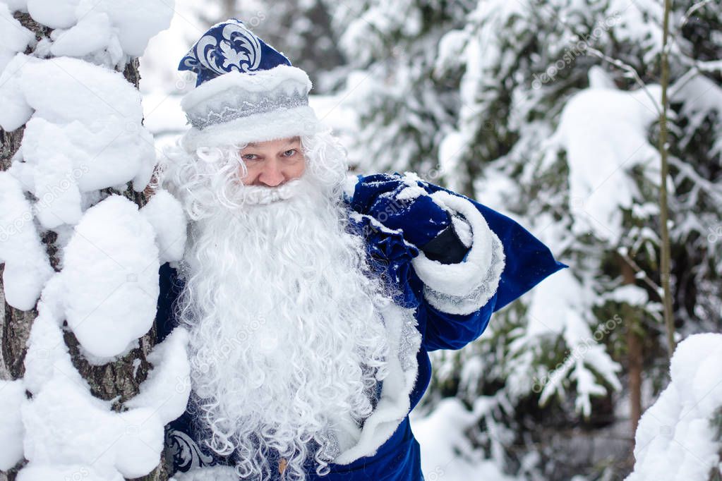Father Frost with a bag of gifts in a snowy forest. Russian Christmas character Ded Moroz. Winter, December.