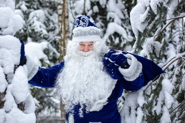 Father Frost with a bag of gifts in a snowy forest. Winter. Russian Christmas character Ded Moroz. — Stock Photo, Image