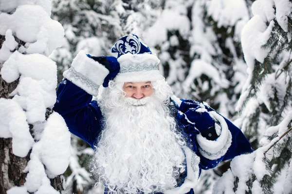 Father Frost with a bag of gifts in a snowy forest. Winterr.  Russian Christmas character Ded Moroz. — Stock Photo, Image
