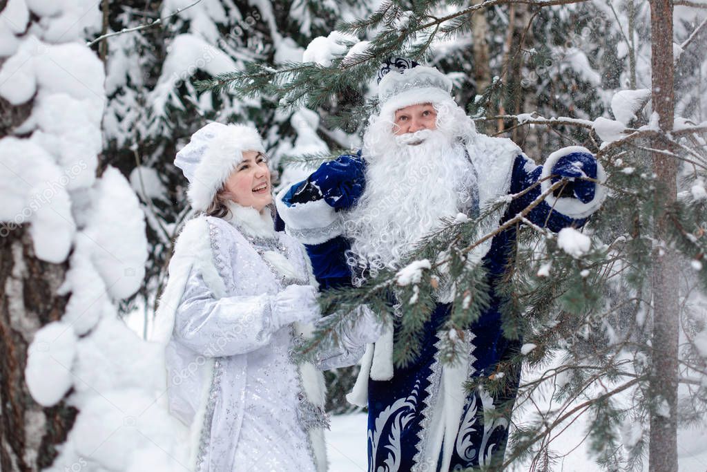 Father Frost with a bag of gifts and a Snow Maiden in the forest among snowy trees. Winter, Russian Christmas characters: Ded Moroz and Snegurochka. Bright emotion of joy.  