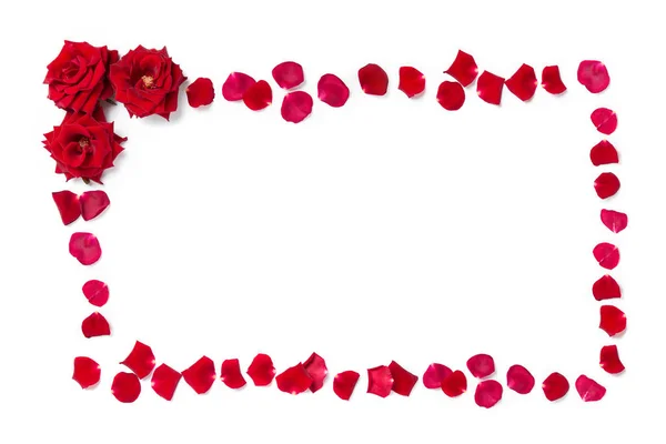 Cornice di rose rosse e petali di rosa su uno sfondo bianco isolato. Ricevuto. Elemento per la decorazione . — Foto Stock