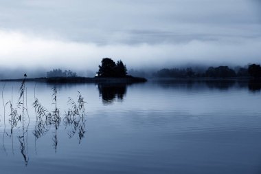 Mavi 2020 'de puslu bir sabah. Sisin içinde nehrin ortasında bir ada. Reed ön planda. Suda yansıma. Huzur ve sessizlik. 