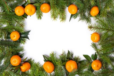 Noelde fotokopi odası vardı. Beyaz arka planda ladin ve mandalina filizlerinden bir çerçeve. Tasarım elemanları, model. Tatil kartı. Noel çerçevesi. 