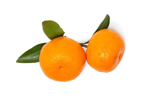 Frutos frescos e brilhantes. Duas tangerinas com uma folha em um fundo isolado branco . — Fotografia de Stock