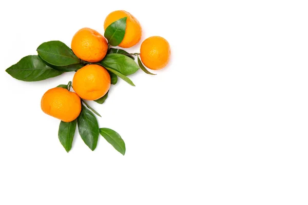 Frische, helle Früchte. Mandarinen mit Blatt auf weißem, isoliertem Hintergrund. frische, helle Früchte. — Stockfoto