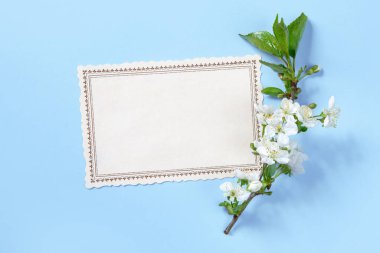 Mavi arka planda bir kartpostal formunun yanında çiçek açan elma dalı. Bahar havası. Paskalya kartı ya da çerçeve. Flatlay, Model.