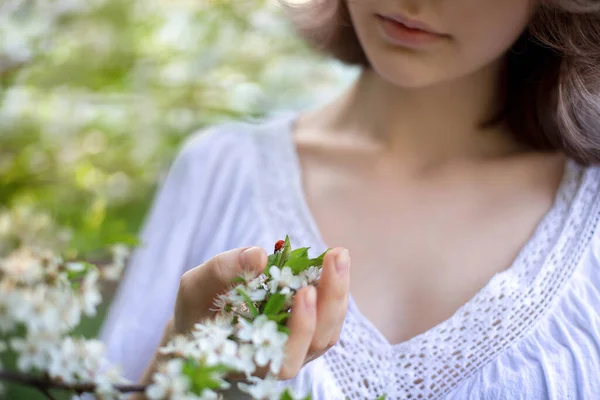 Ein Mädchen Europäischen Aussehens Weißen Pullover Untersucht Einen Marienkäfer Auf — Stockfoto