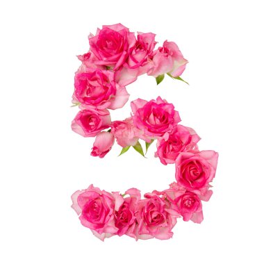 Beyaz izole edilmiş arka planda pembe güllerden yapılmış 5 numara. Pembe güller. Dekorasyon elementi.