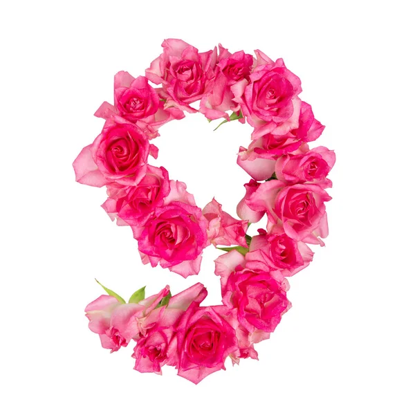 Numerale Fatto Rose Rosa Uno Sfondo Bianco Isolato Rose Rosa — Foto Stock