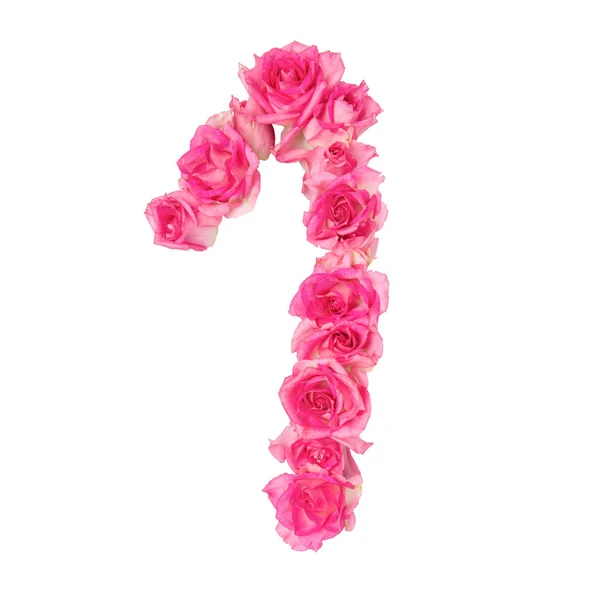 数字1的玫瑰在白色孤立的背景上 粉红色的玫瑰 装饰的要素 — 图库照片