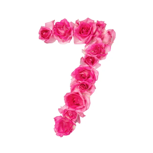 Zahl Aus Rosen Auf Weißem Isoliertem Hintergrund Rosarote Rosen Element — Stockfoto