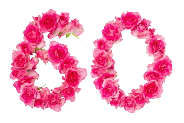 Numero Composto Rose Sfondo Bianco Isolato Rose Rosa Elemento Decorazione — Foto Stock