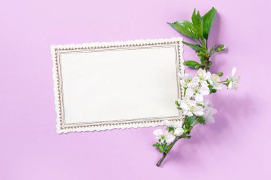 Bir elma ağacının çiçek açan dalı pembe arka planda bir kartpostalın yanında. Bahar havası. Paskalya kartı ya da çerçeve. Düz uzanma düzeni.