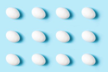 Mavi arka planda beyaz tavuk yumurtası deseni. Kümes hayvanları ürünleri.