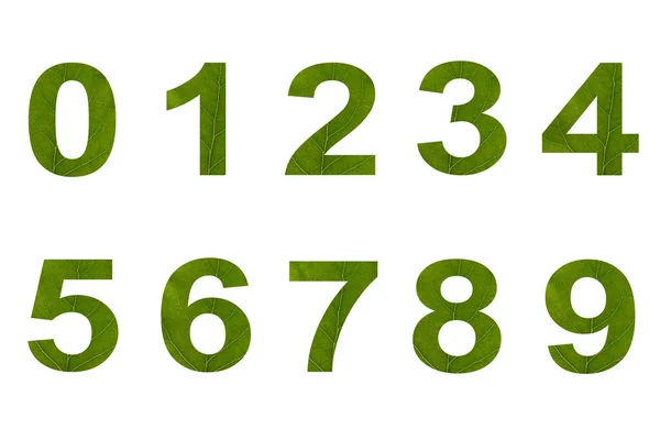 Numeri Struttura Foglia Uno Sfondo Isolato Bianco Elemento Decorazione Concetto — Foto Stock