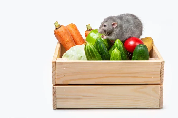 Trälåda Med Grönsaker Vit Bakgrund Grå Råtta Grönsakerna Färska Grönsaker — Stockfoto
