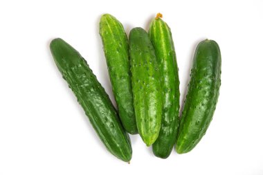 İzole edilmiş beyaz arka planda orta salatalıklar. Taze sebzeler. Düz yatıyordu