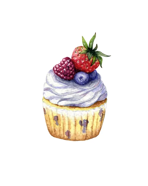 Charming blueberry cupcake with whipped cream and mascarpone cream, decorated with strawberries, raspberries and blueberries isolated on a white background — Stock Photo, Image