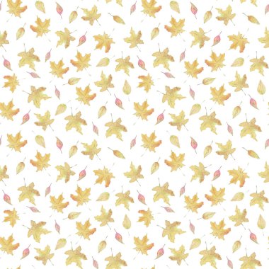 Atmosferik sonbahar suluboya deseni. Düşen akçaağaç ve kavak yaprakları okula ve bilgi gününe adanmış..