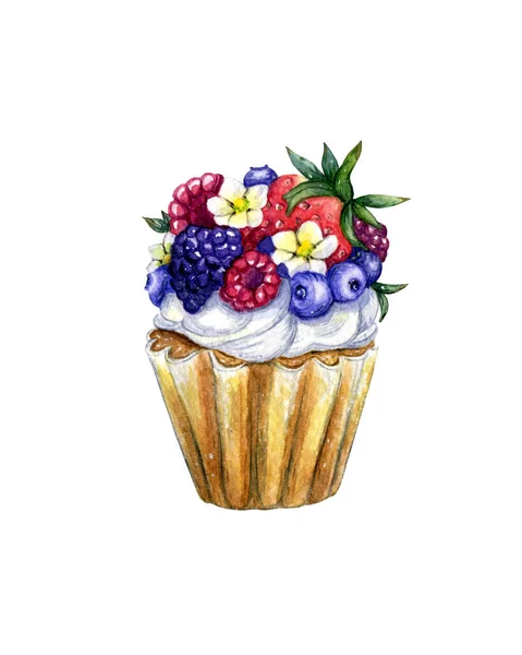 Delicious vanilla biscuit cupcake covered with whipped cream and mascarpone cream, garnished with fresh wild berries, strawberries, raspberries, blackberries, blueberries and strawberry flowers — Stock Photo, Image