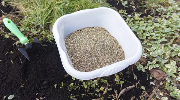 The process of preparing the soil mixture for transplanting plants or seedlings. Vermiculite in a white container on a background of garden plants.