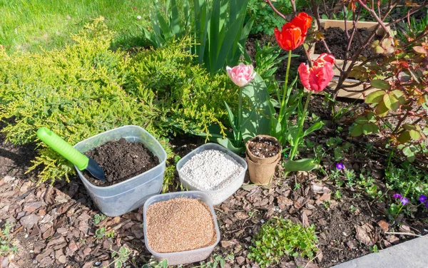진균류 채소와 식물을 재배하기 혼합물을 만들어 과정이다 정원용 침대에 그릇에 — 스톡 사진