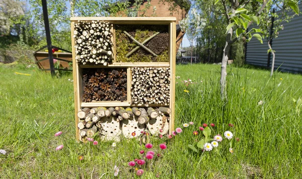 The insect house  or bugs hostel is in the garden. Ecological methods of pest control. Ideas for summer activities for children on vacation.