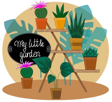 Elle çizilmiş küçük bahçem daire çerçevesi ve saksılarda bitkiler.