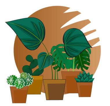 Elle çizilmiş küçük bahçem daire çerçevesi ve saksılarda bitkiler.