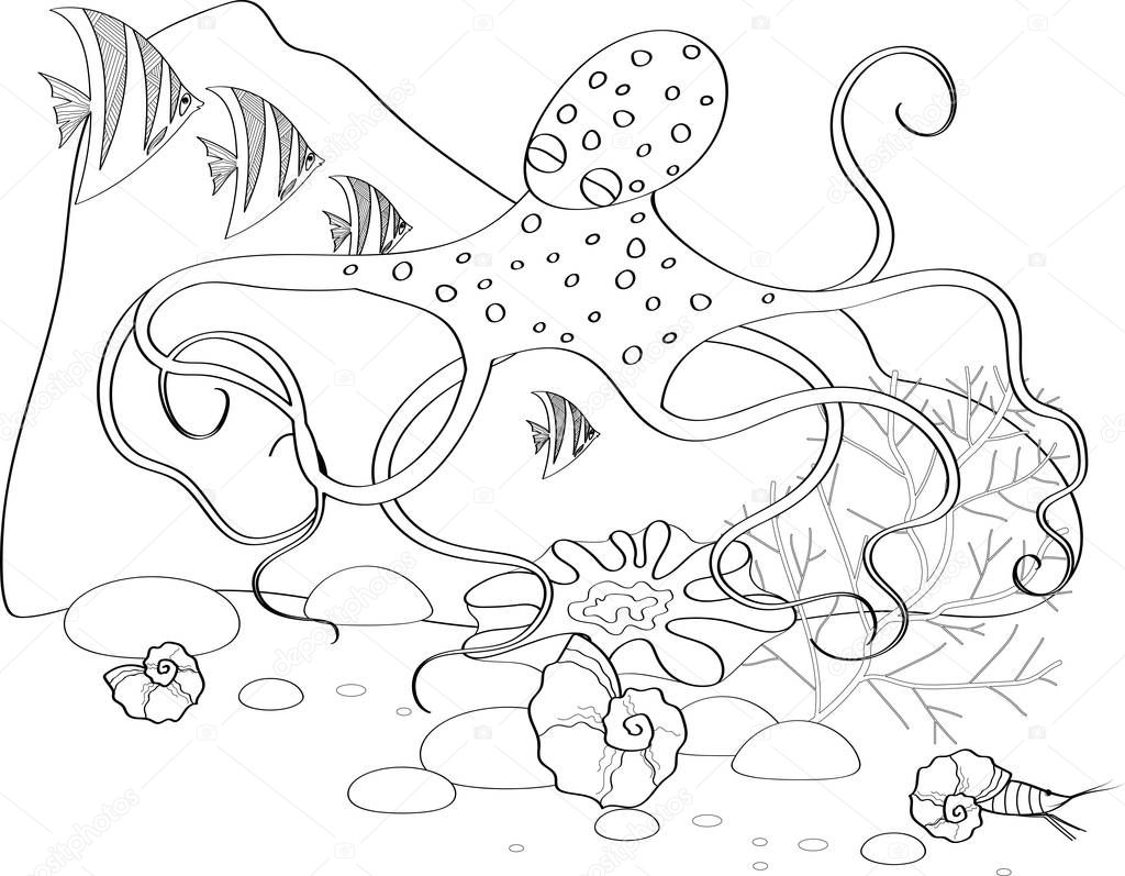 Fish, seashells, seaweed and corals drawn in line art style on white background.
