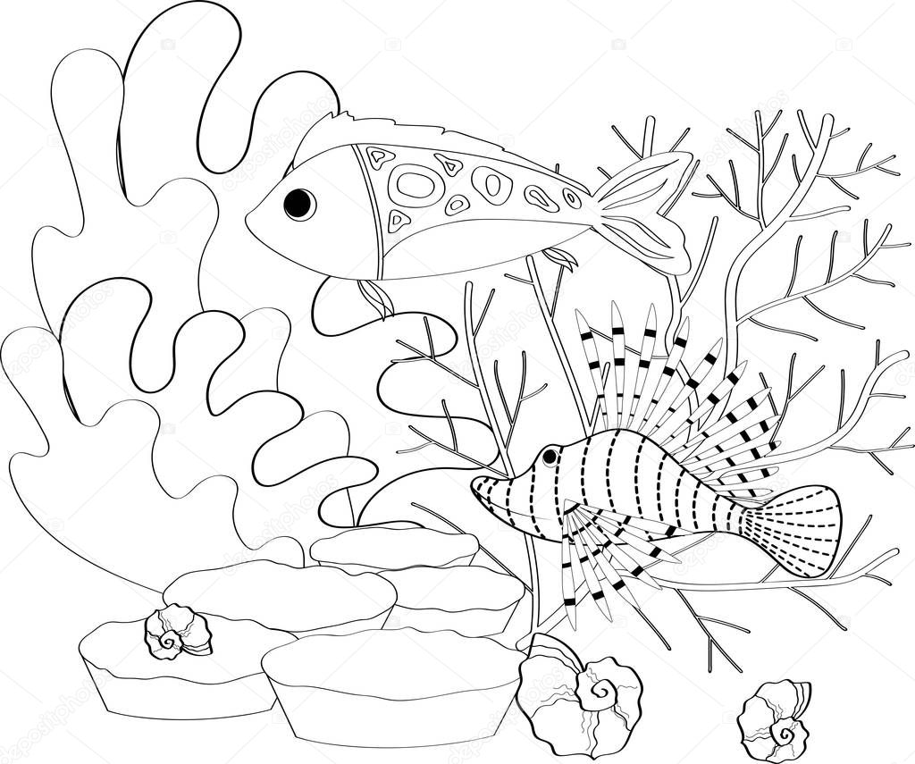 Fish, seashells, seaweed and corals drawn in line art style on white background.