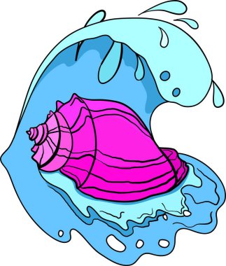 Dalga ve su damlaları ile vektör deniz kabuğu