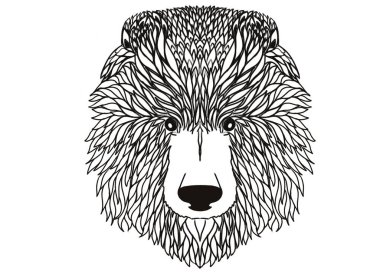 Hand Drawn Graphic Bear.Bear Head Logo Mascot