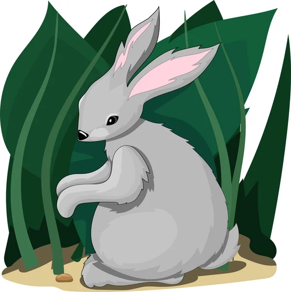 ウサギのイラスト — ストックベクタ