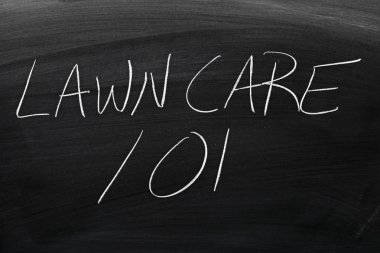 Bir kara tahta üzerinde çim bakımı 101