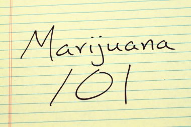 Sarı bloknot üzerinde marihuana 101