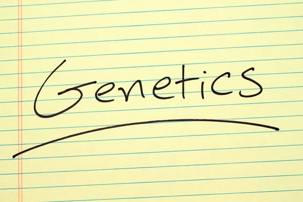 Genetics On A Yellow Legal Pad — Stock Photo, Image